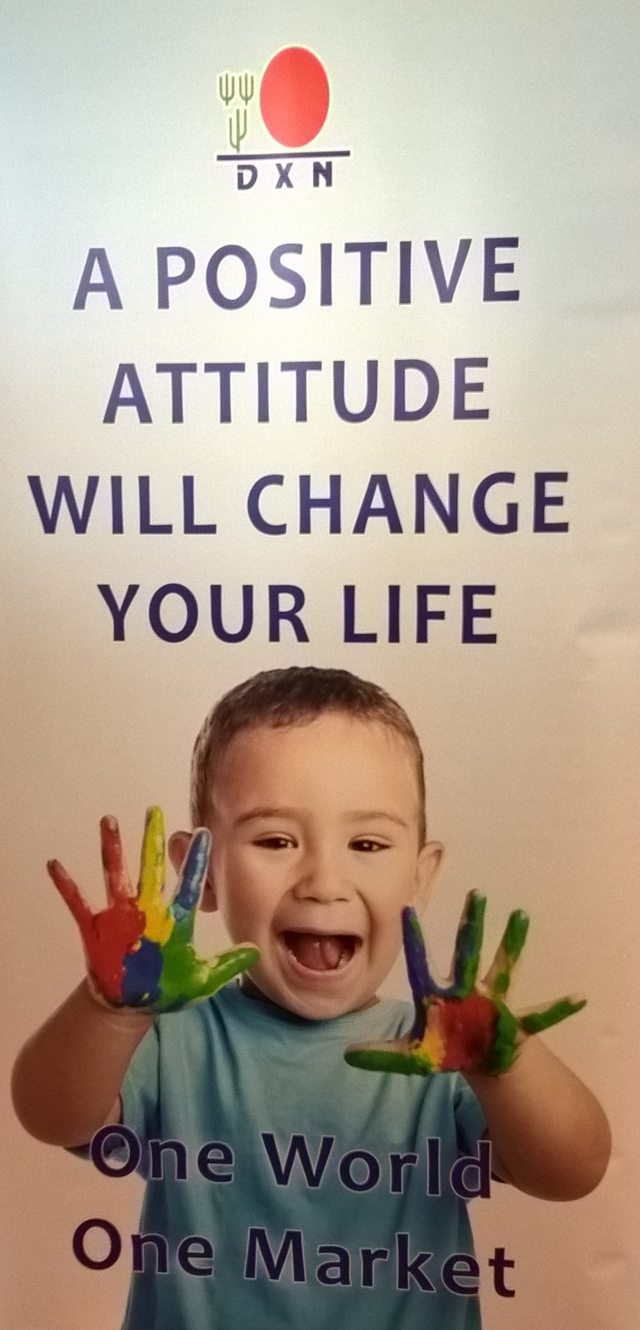 DXN termékek